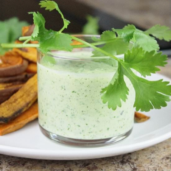 Jalapeno “Ranch” Dip & Baked Fries