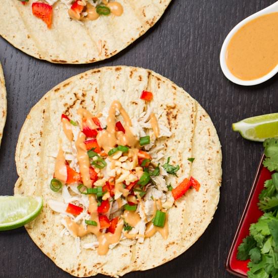 Thai Chicken Tacos