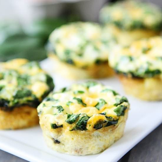 Egg Muffins