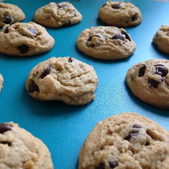 Peanut Butter Chocolate Chip Cookie