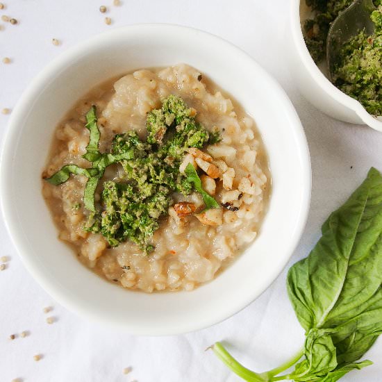 Parsnip Sorghum Risotto