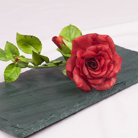 Sugar Rose