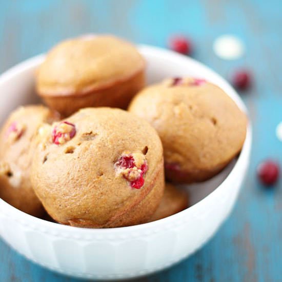 Skinny Cranberry Chocolate Muffins