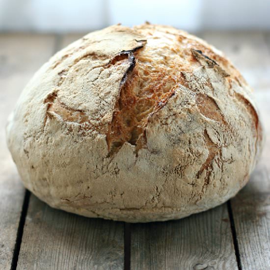 No knead bread