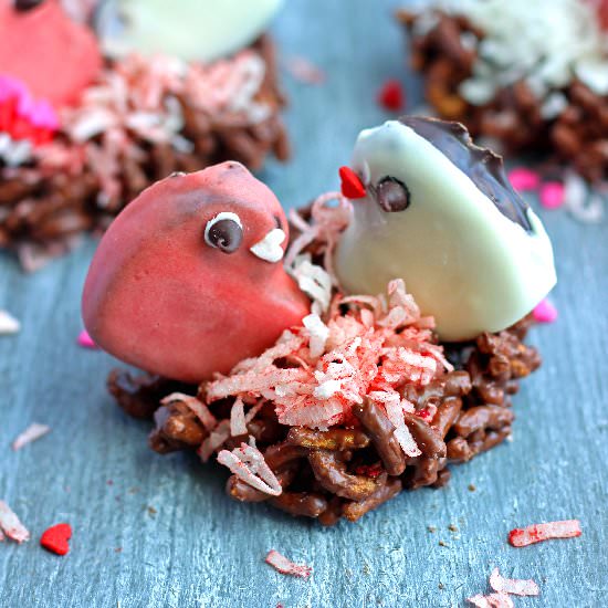 Valentine’s Love Birds