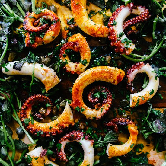 An Octopus for the Rest of Us