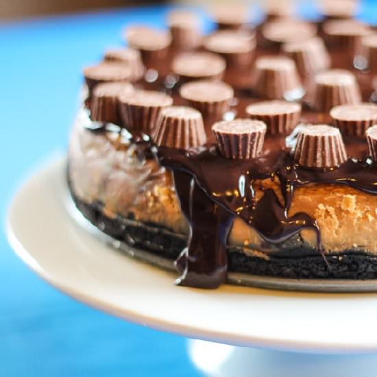 Reeses Peanut Butter Cup Cheesecake