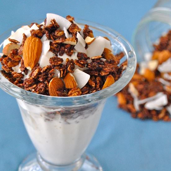 Almond Joy Granola