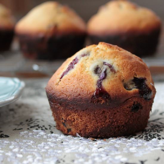 Blueberry Muffins
