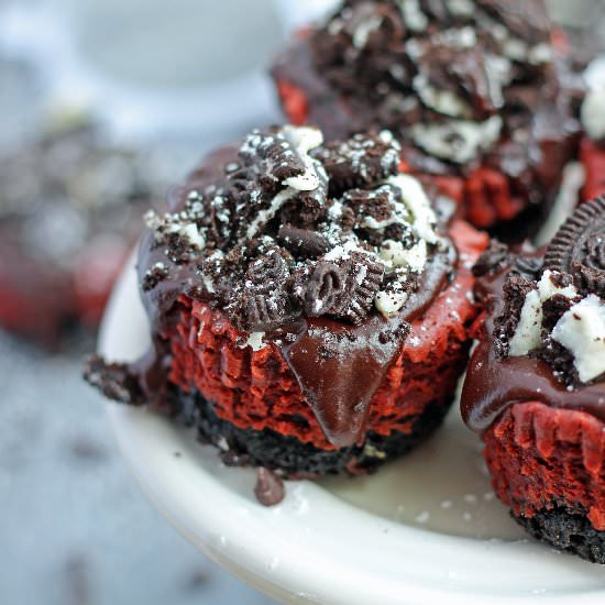 Red Velvet Cheesecakes