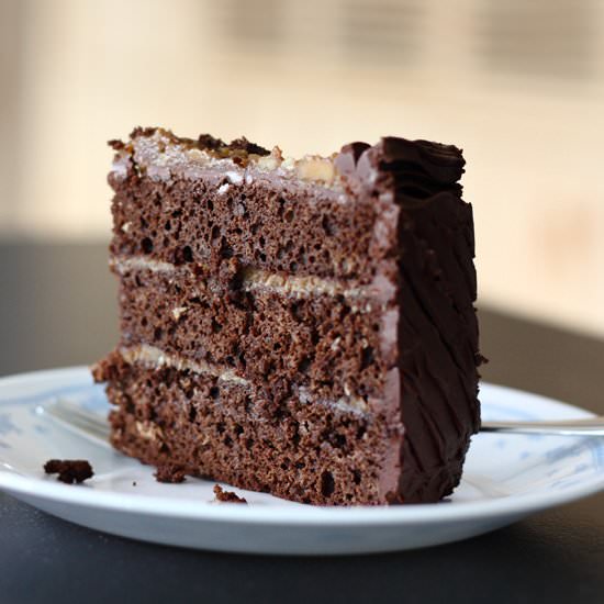 Chococlate Walnut Coconut Cake