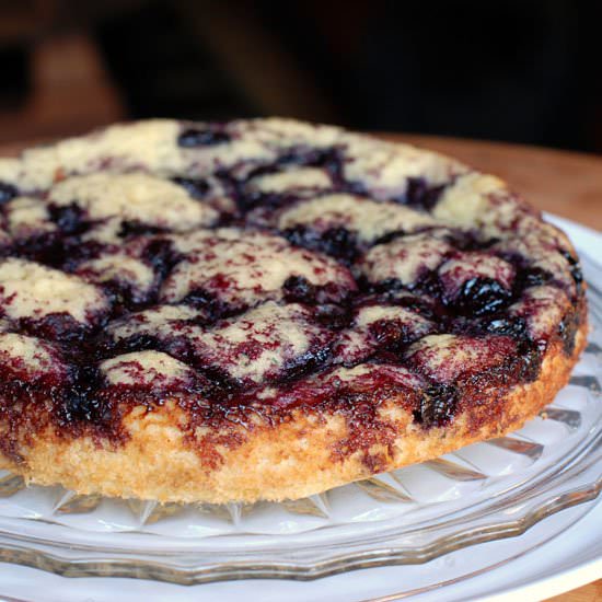 Blueberry Pudding Cake