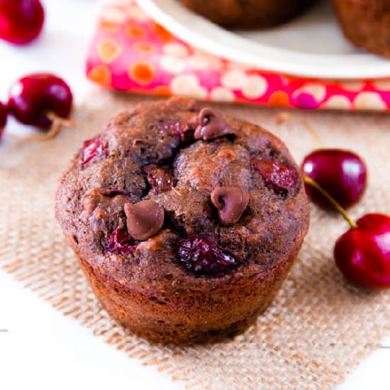 Chocolate Cherry Muffins