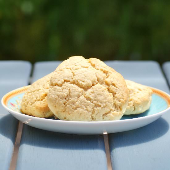 Lightened Up Buttemilk Scones