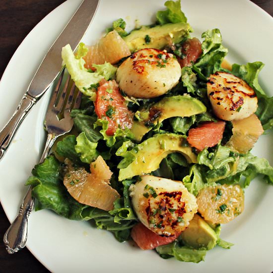 Grapefruit avocado scallop salad