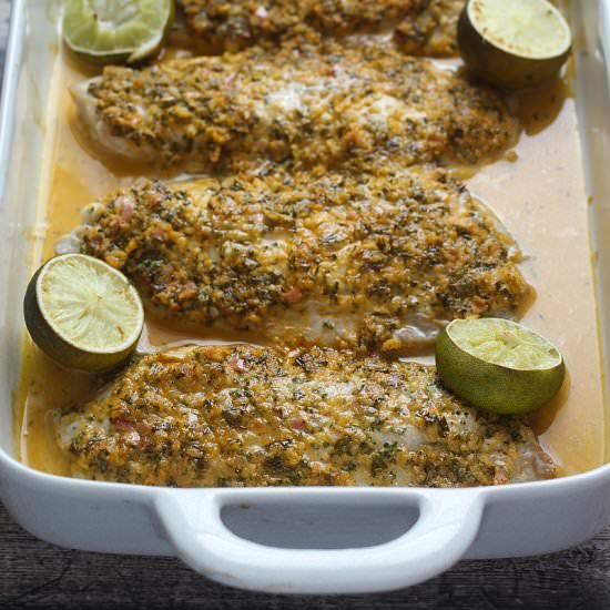 Snapper Barbados