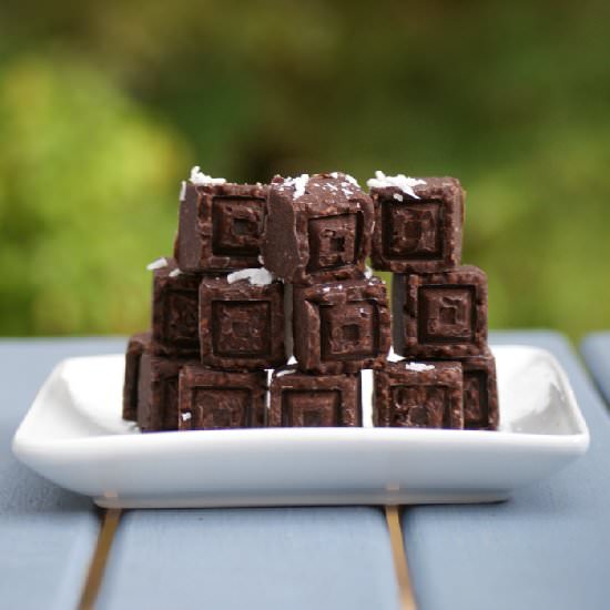Raw Lamington Chocolates
