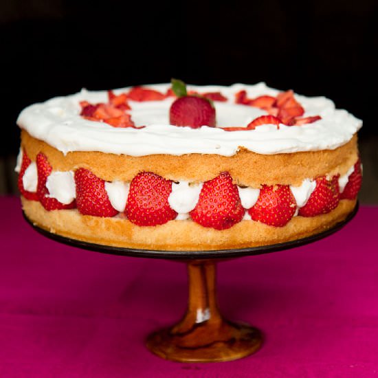 Fresh Strawberry Fraisier