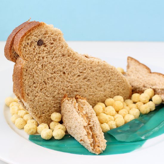 Seal sandwich