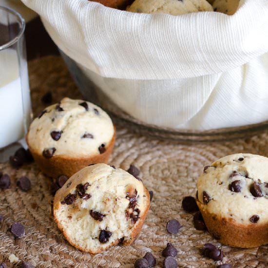 Chocolate Chip Muffins