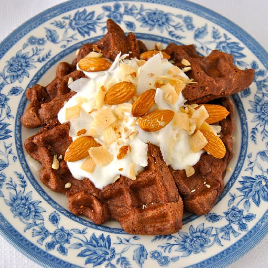 Almond Joy Waffle for One