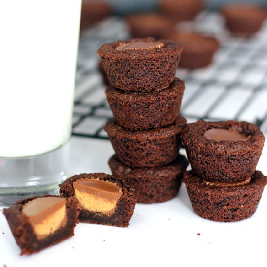 Peanut Butter Cup Brownie Bites