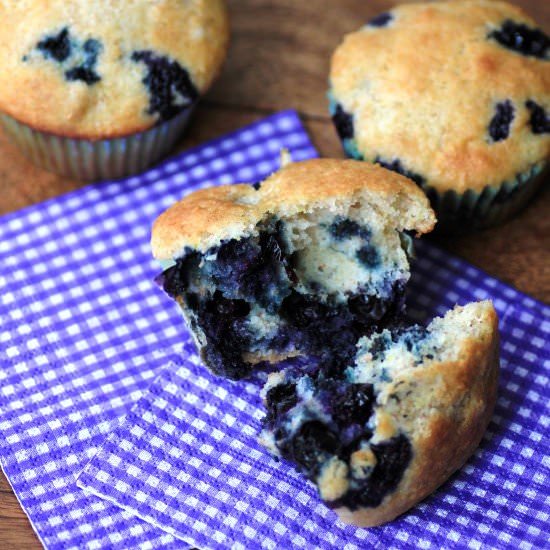 Blueberry Muffins