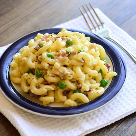 Havarti, dill, & yogurt pasta