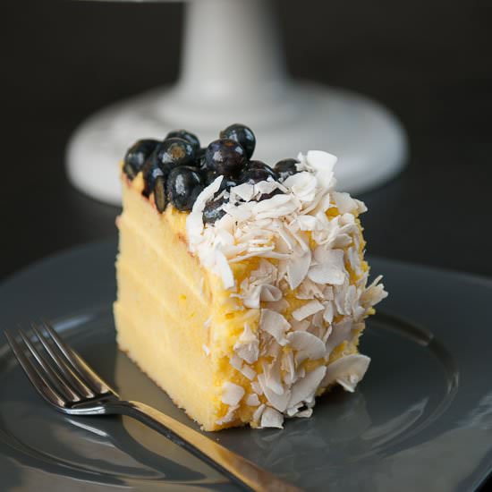 Blueberry Kalamasi Coconut Cake