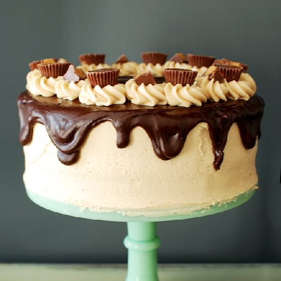 Chocolate Peanut Butter Cake