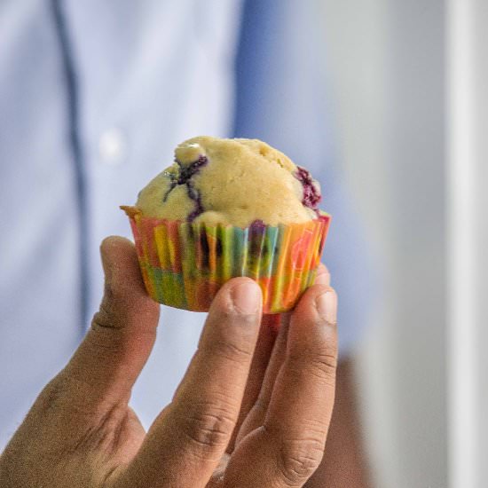 Blueberry Muffins