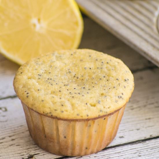 Gluten Free Lemon Poppy Seed Muffin