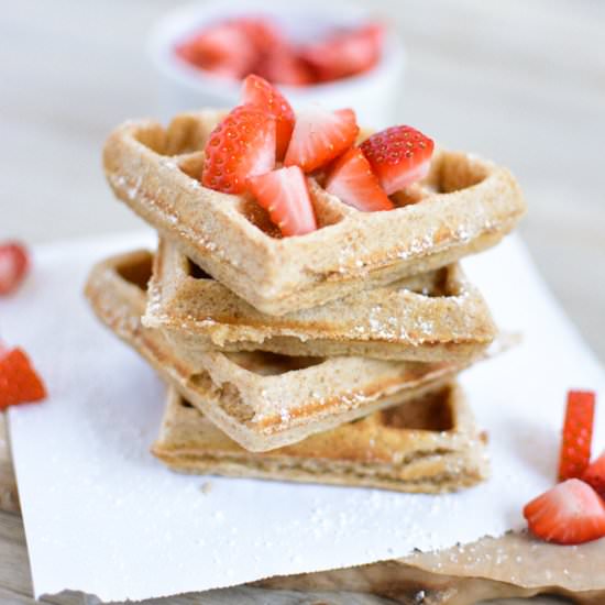 Whole Wheat Biscoff Waffles