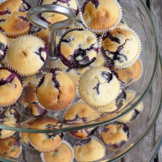 Mini Blueberry Muffins