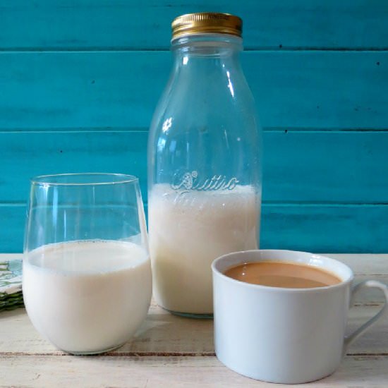 Vanilla Coffee Creamer