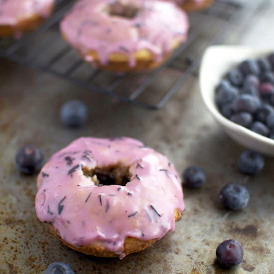Chocolate Chip & Blueberry Donuts