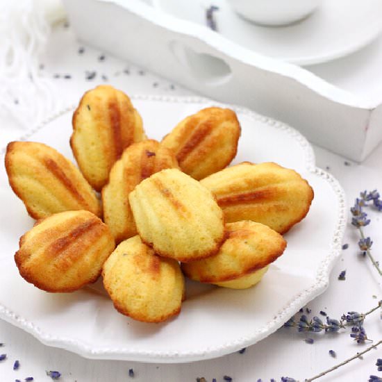 Lavender Madeleine