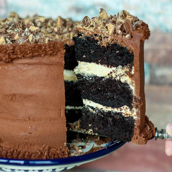 Chocolate Peanut Butter Cake