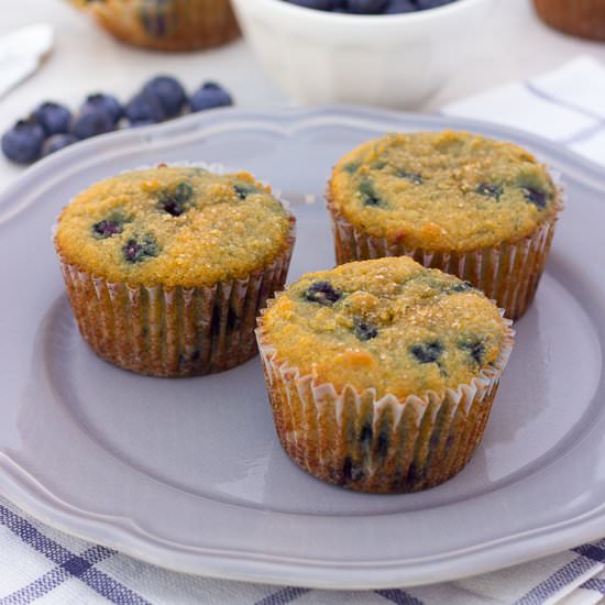 Coconut Flour Blueberry Muffins