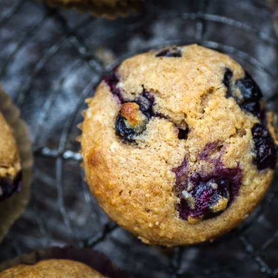 Wholewheat Blueberry Muffin