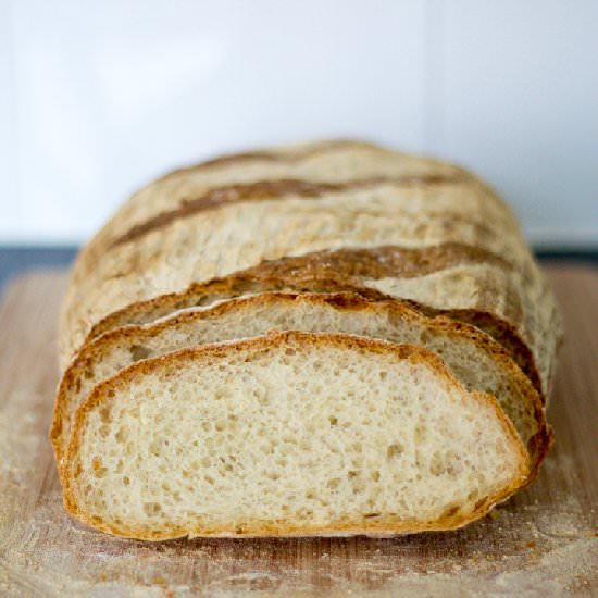 No Knead Mug Bread