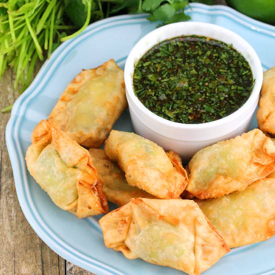 Cream Cheese and Avocado Wontons