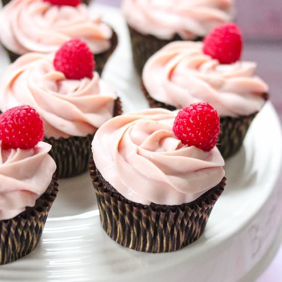 Chocolate Cupcakes