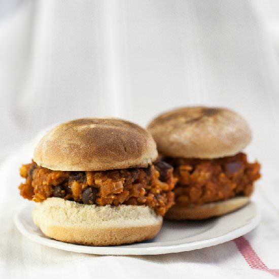 Protein Packed Vegan Sloppy Joes