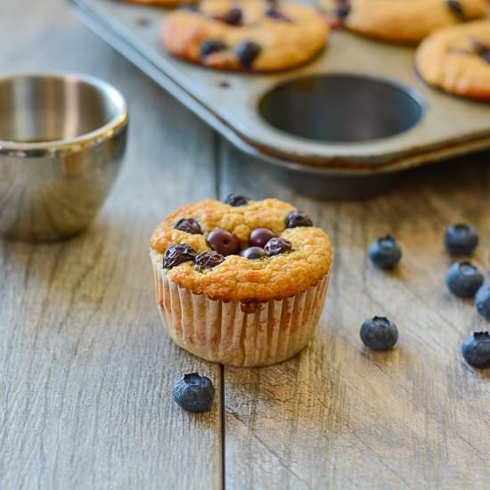 Blueberry Protein Muffin Recipe