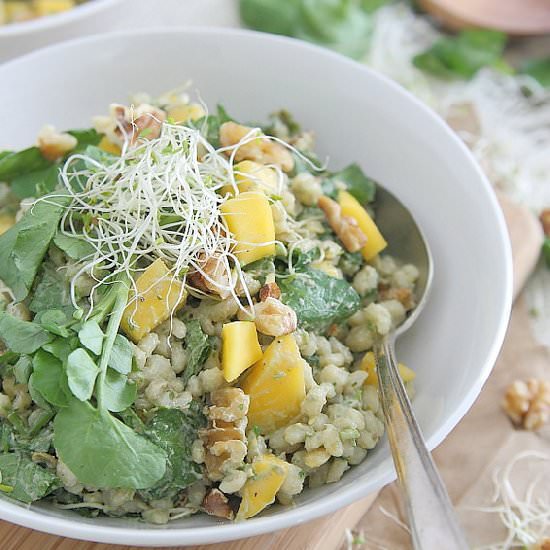 Barley Mango Salad
