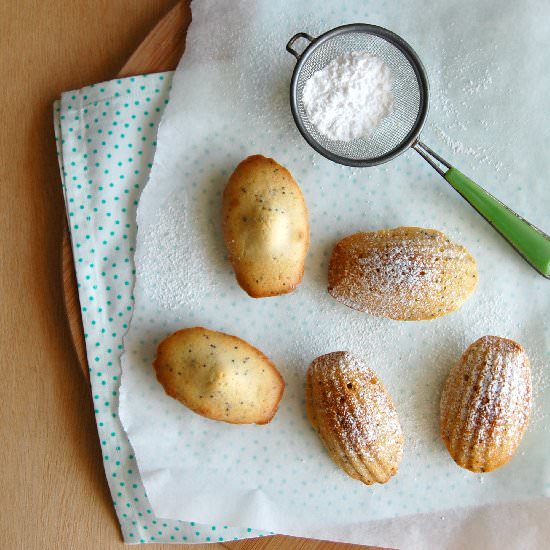 Lime, Vanilla and Poppy Seed