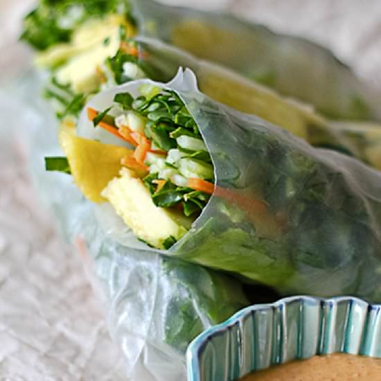 Vegetarian Fresh Rolls