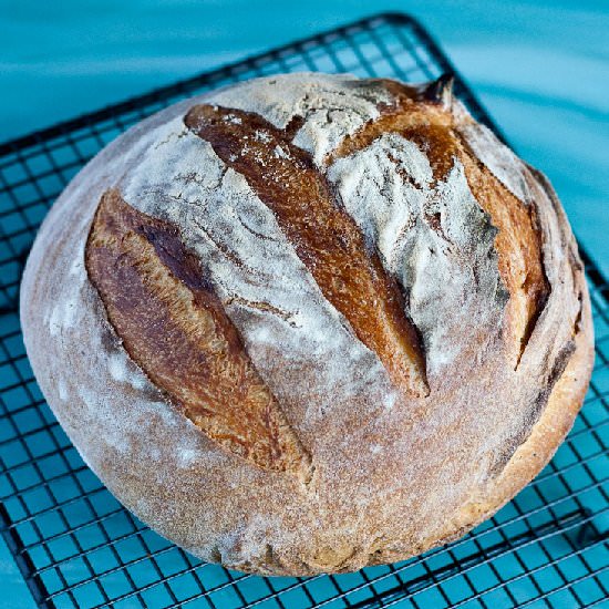 Crusty Cob