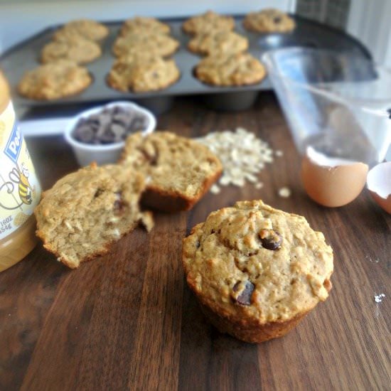 Peanut Butter Choc Chip Oat Muffins